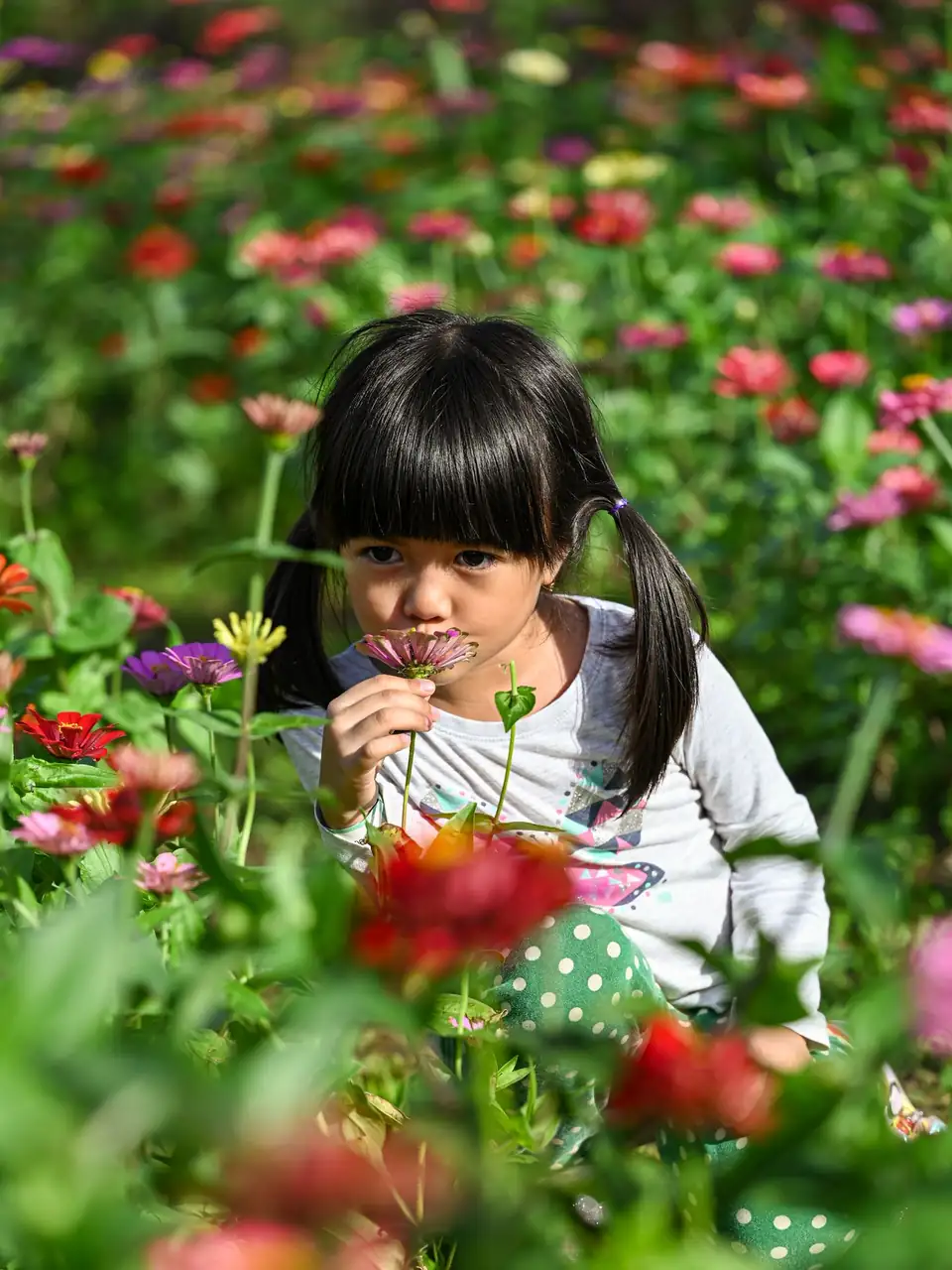A child standing among colorful flowers.